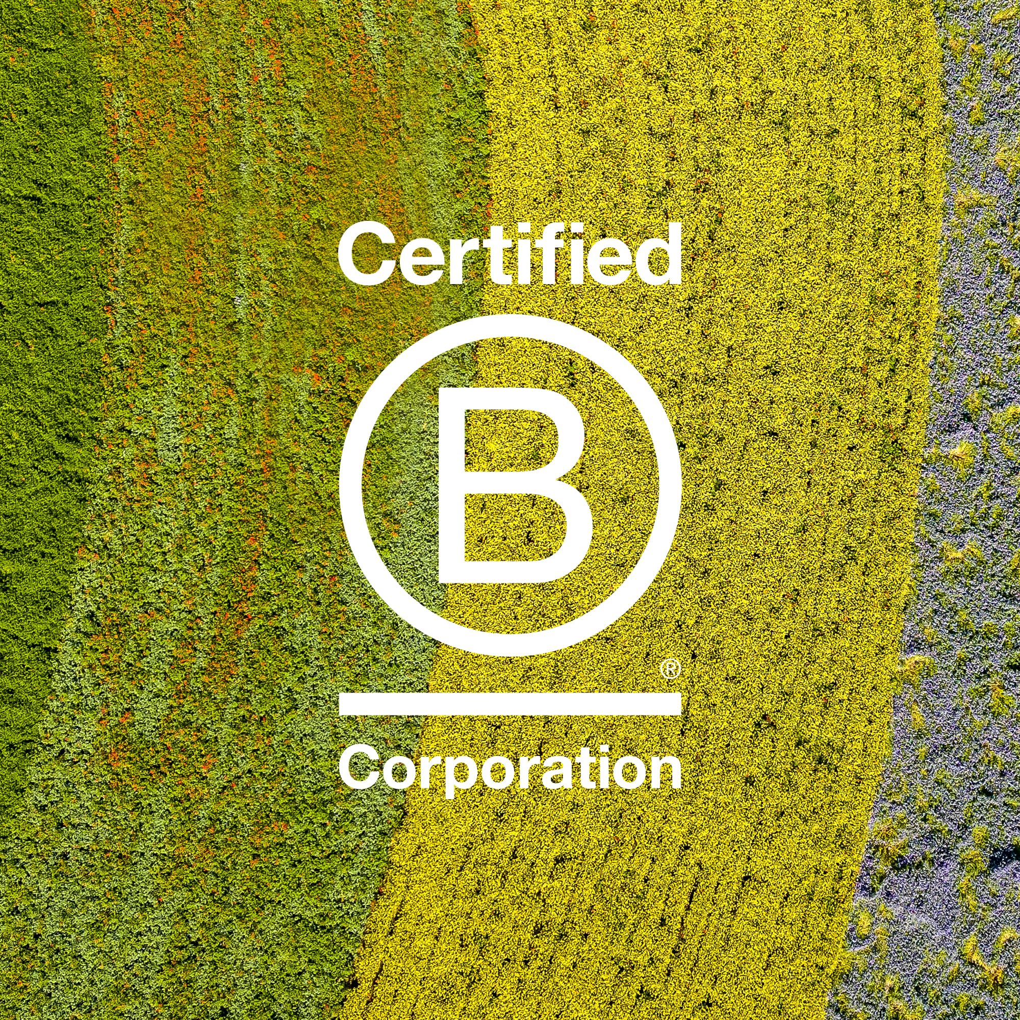 Davines OI All in One Milk | Leave-in Conditioner Spray | Powerful Hair Detangler + Heat Protection | Smoothes Frizzy Hair | 4.56 Fl Oz